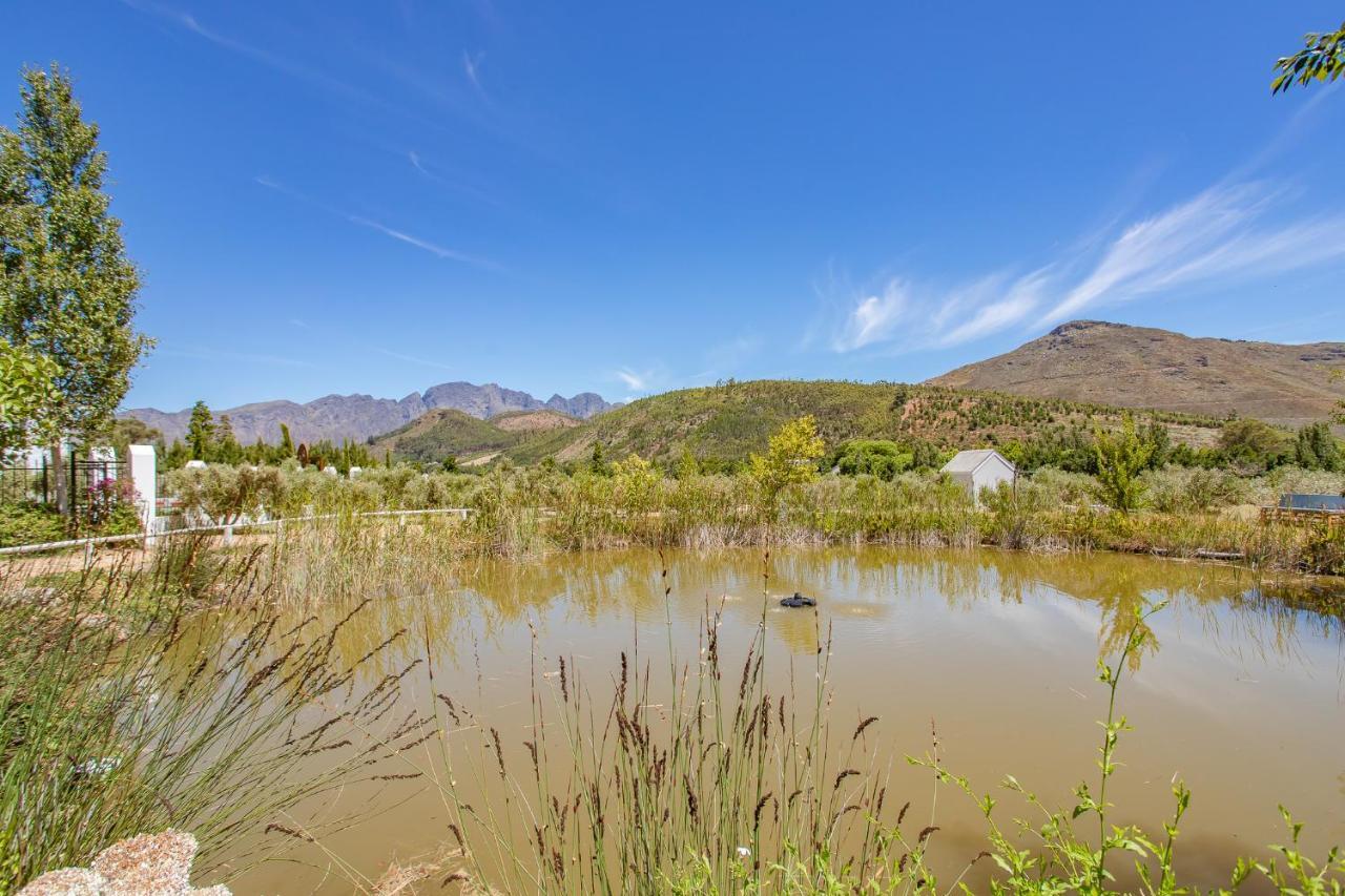 Droom Guesthouse Franschhoek Zewnętrze zdjęcie