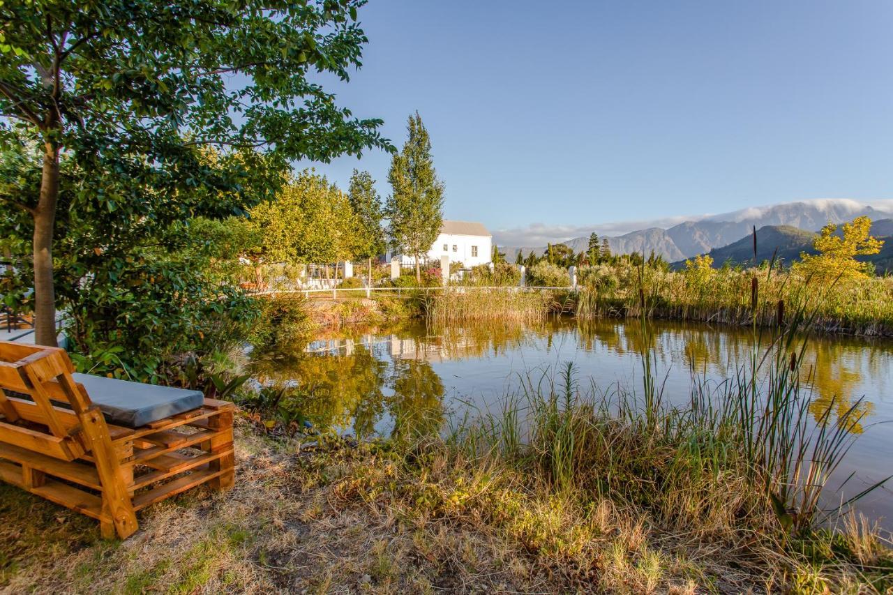 Droom Guesthouse Franschhoek Zewnętrze zdjęcie