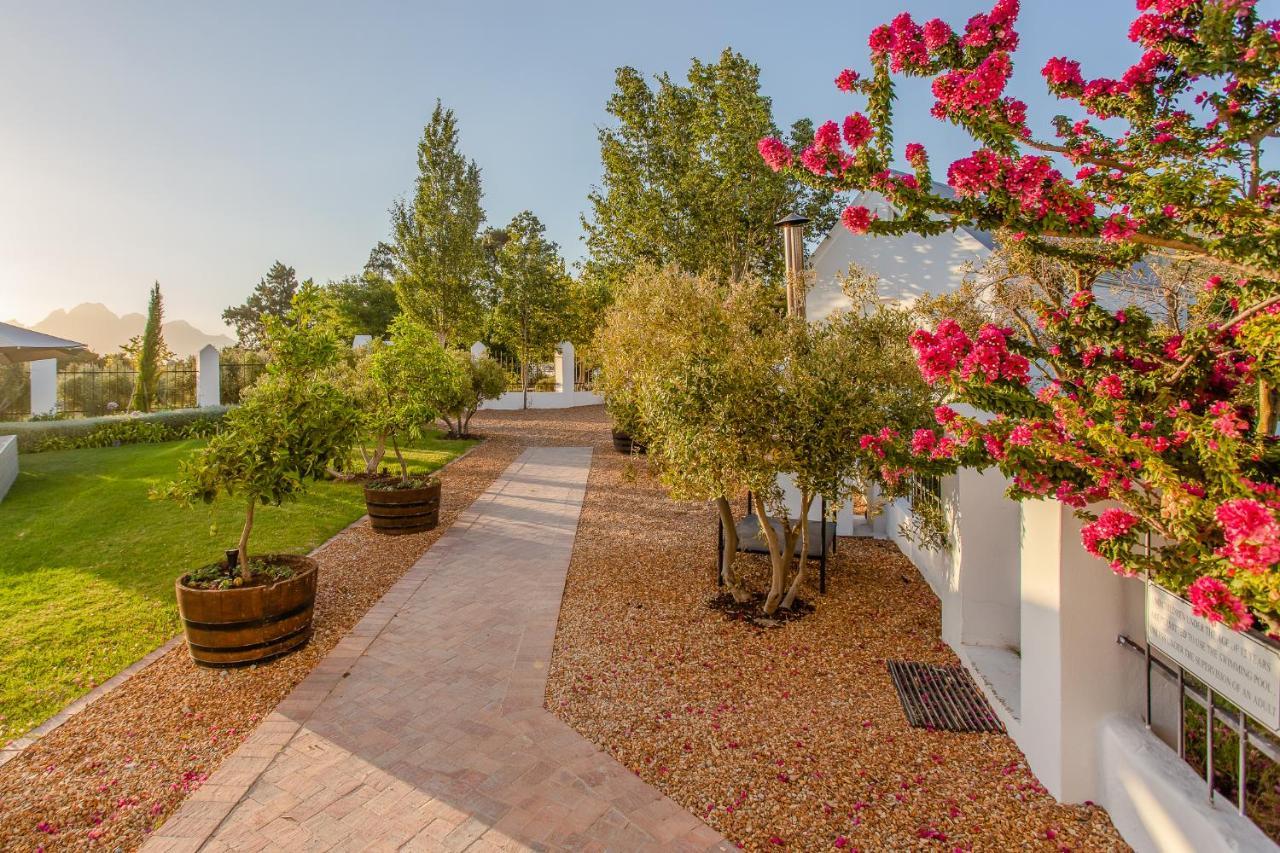 Droom Guesthouse Franschhoek Zewnętrze zdjęcie