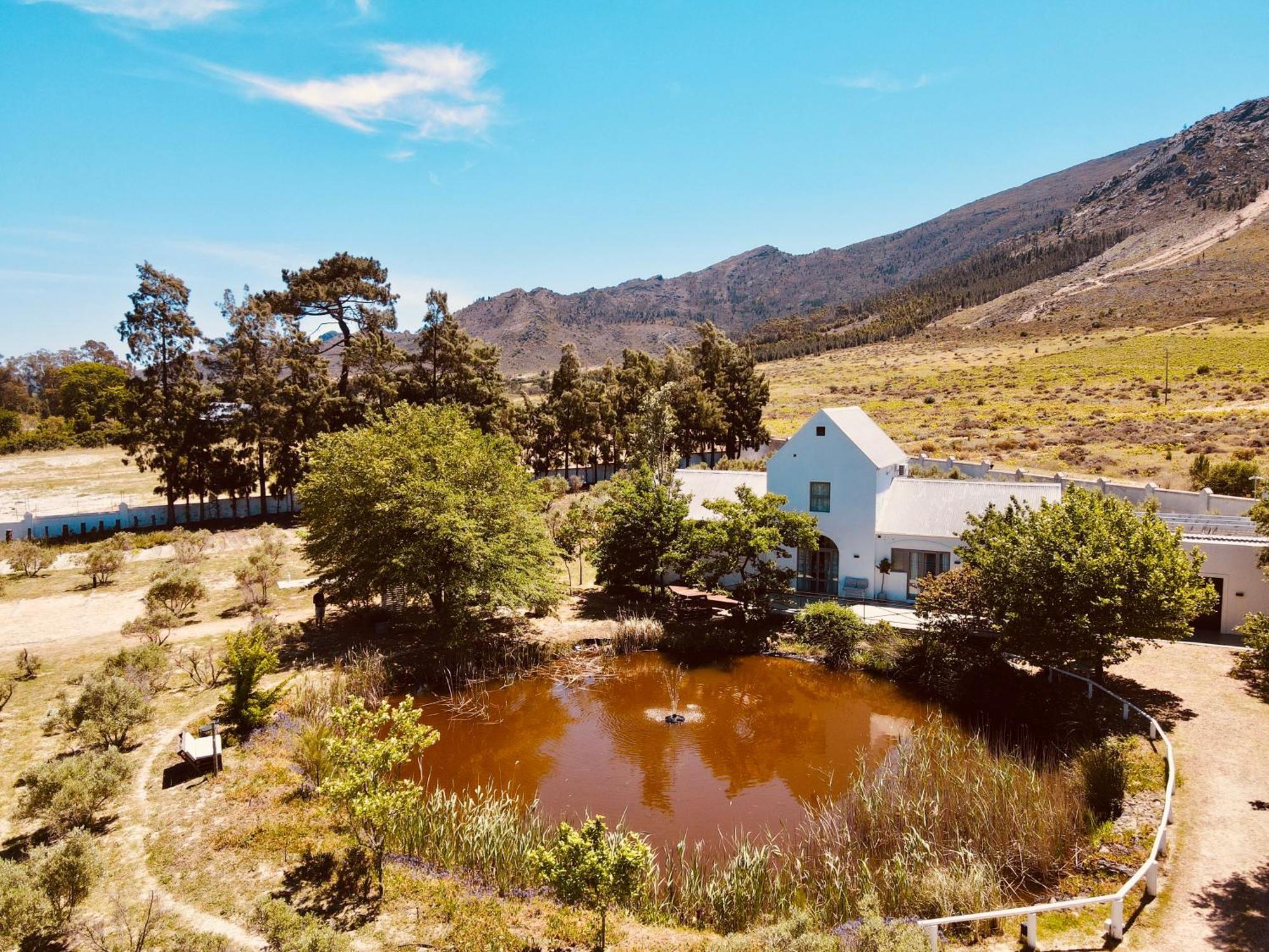 Droom Guesthouse Franschhoek Zewnętrze zdjęcie