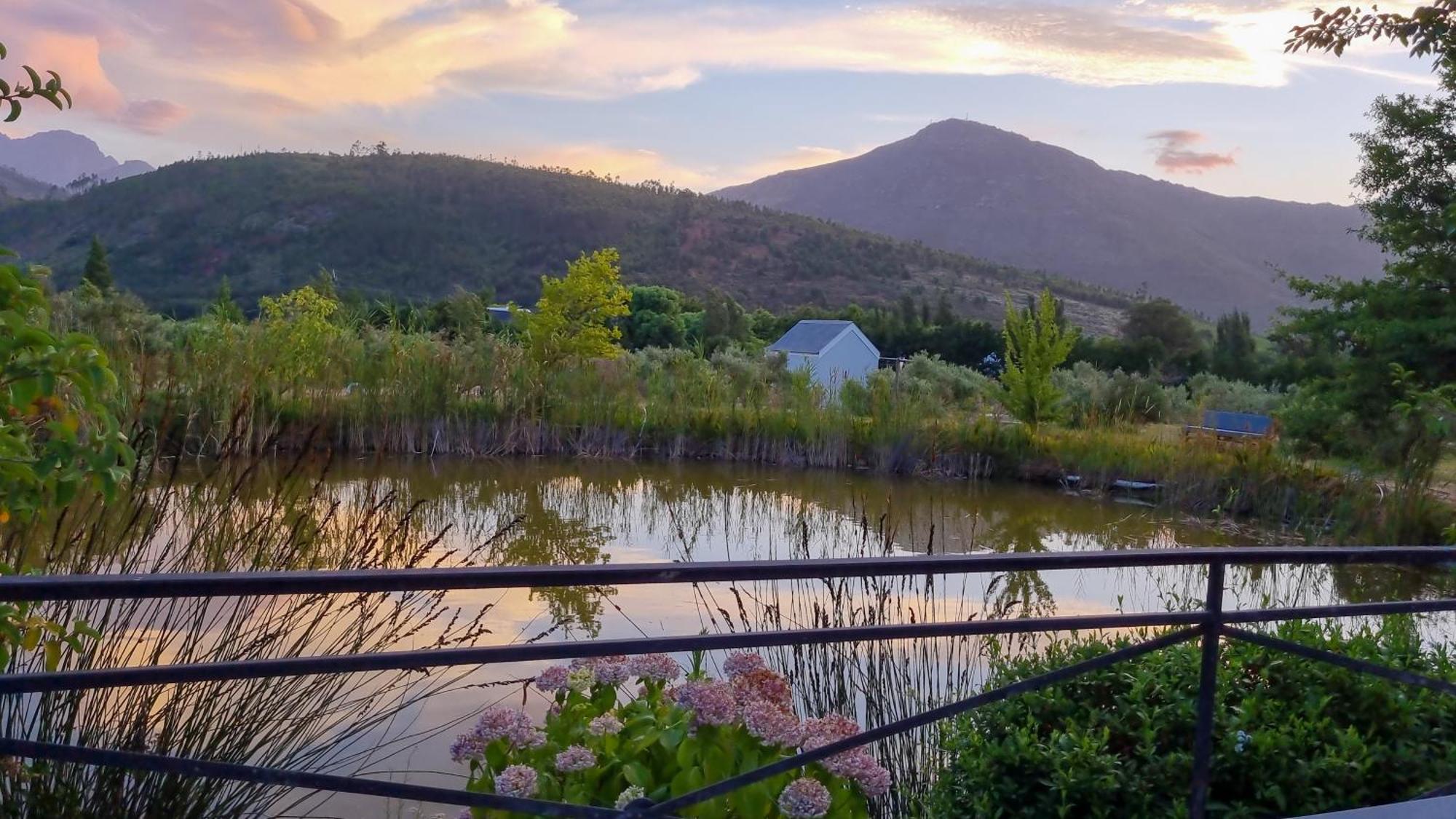 Droom Guesthouse Franschhoek Zewnętrze zdjęcie